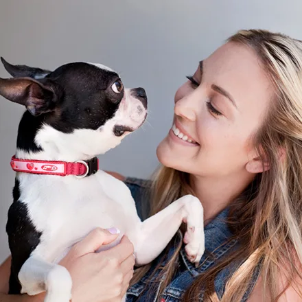 Accessories & Supplies