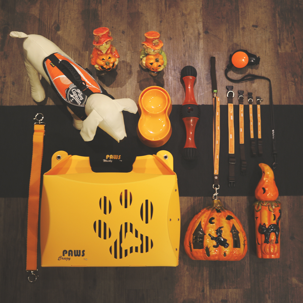 Dog cage with pumpkins and other items on the floor.